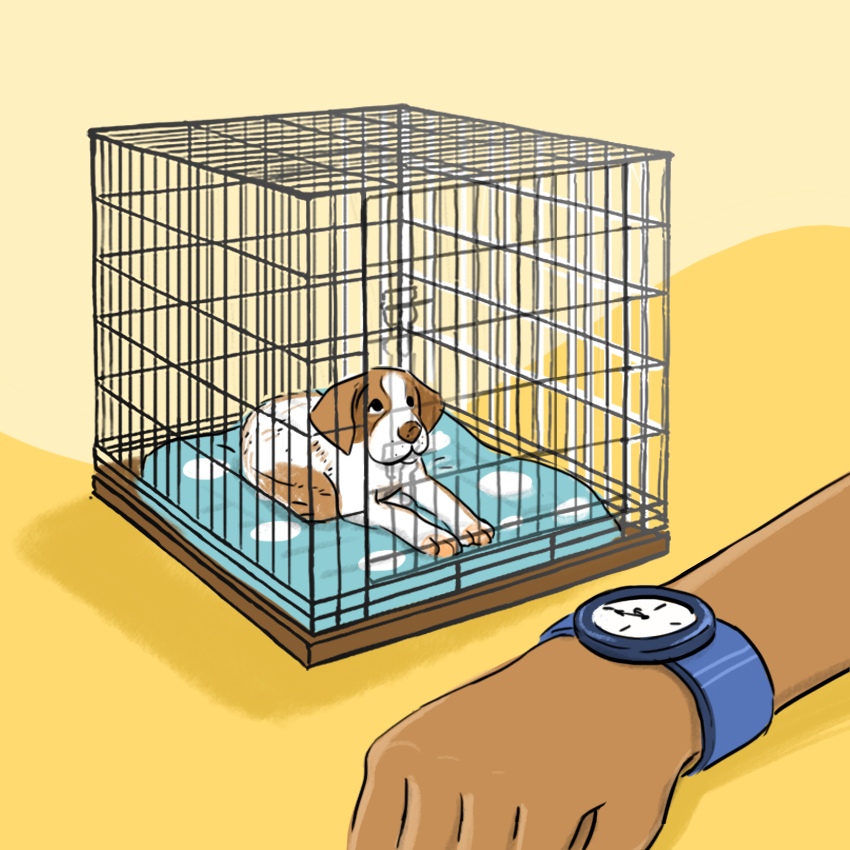 embeddedIMG_HowToCrateTrainAPuppy_850px_9.jpg