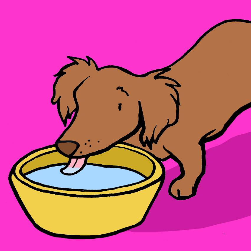 embeddedIMG_HowToKeepYourPoochesSafeInTheSummerHeat_850px_91.jpg