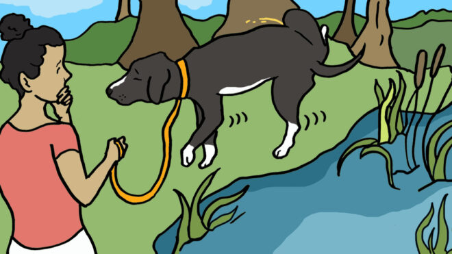 embeddedIMG_HowToKnowIfYourDogHasAUTI_1280x627px_thumb