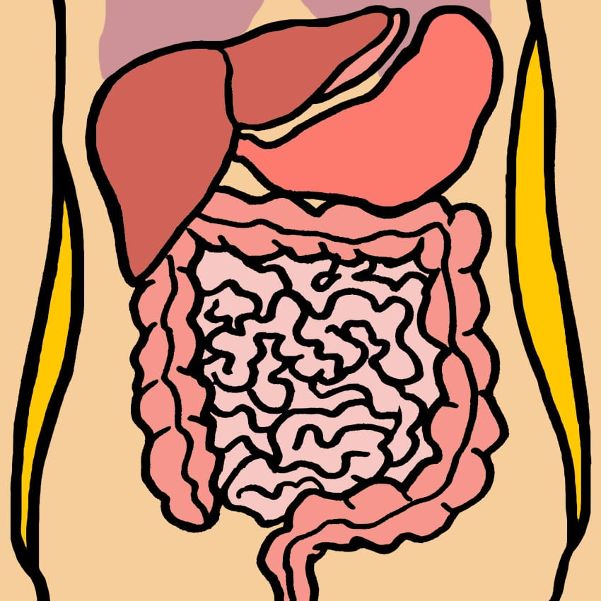 embeddedIMG_HowToKnowWhatYourAbdominalAchesAndPainsAreReallyTellingYou_850px_1.jpg