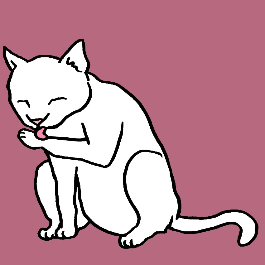embeddedIMG_HowToTellWhenYourPetIsInPain_850px_2.jpg