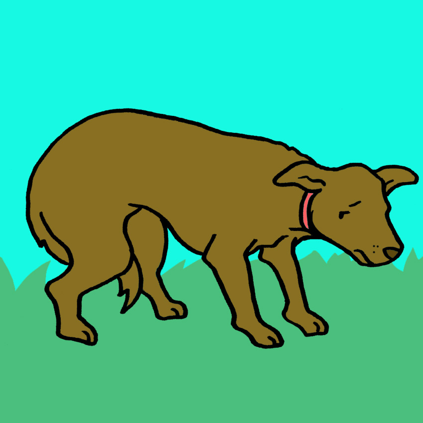 embeddedIMG_HowToTellWhenYourPetIsInPain_850px_6.jpg