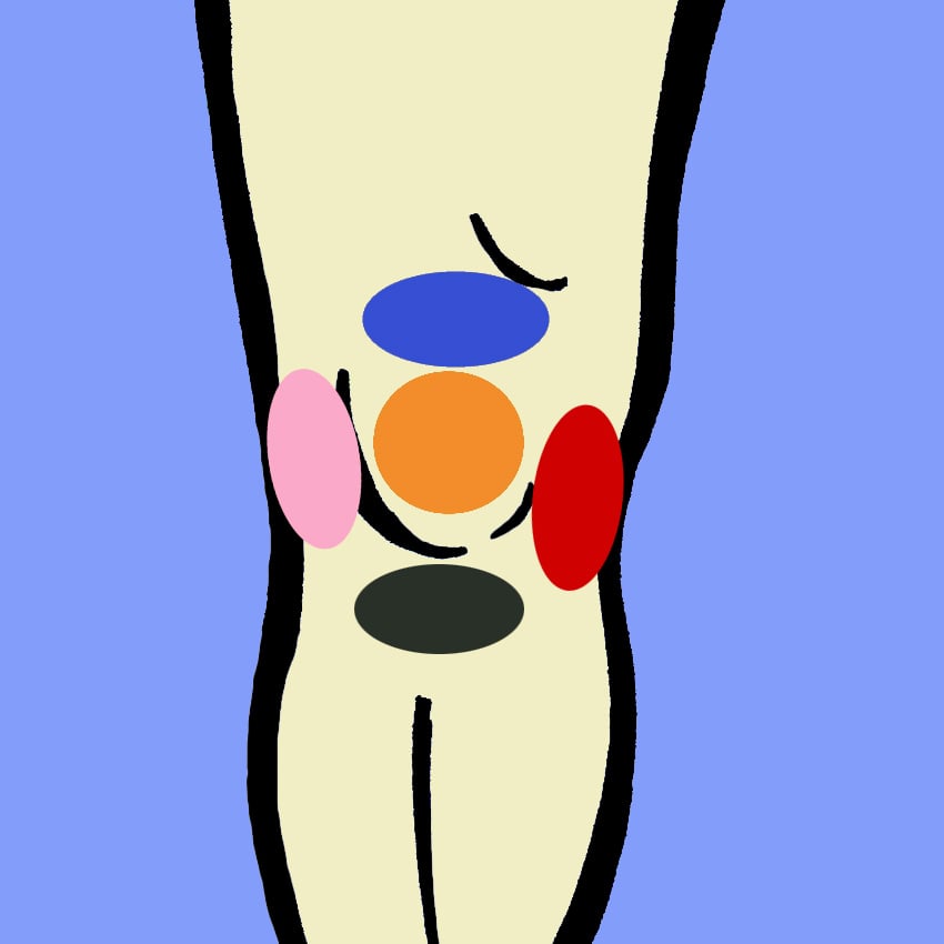 embeddedIMG_KneePain-WhatItMeansAndHowToFightIt_850px_1.jpg