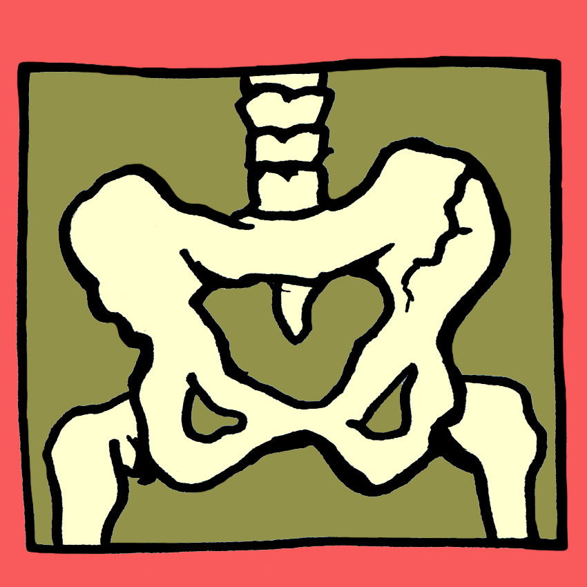 embeddedIMG_OsteoporosisMythsandRemedies_850px_5.jpg