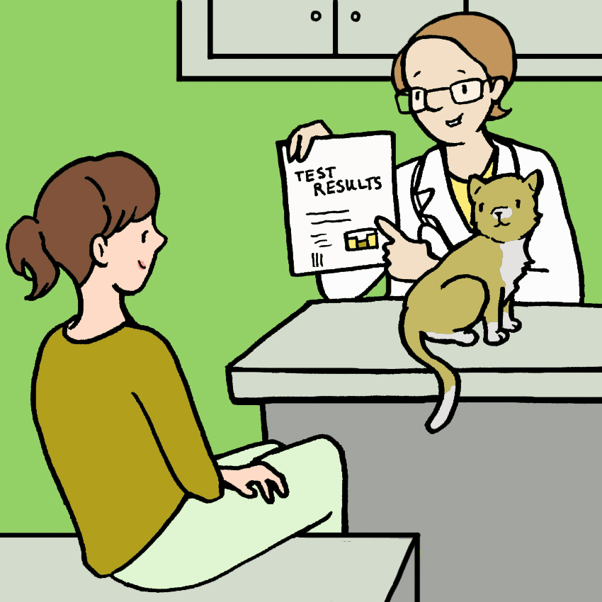 embeddedIMG_PetVaccinations_850px_5.jpg