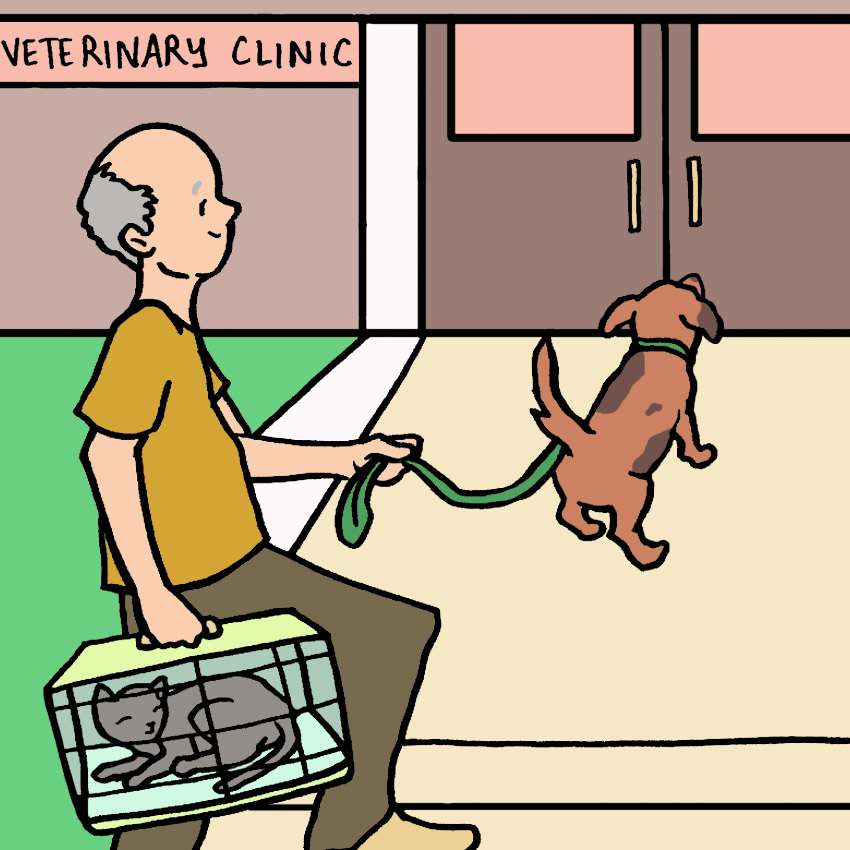 embeddedIMG_PetVaccinations_850px_6.jpg