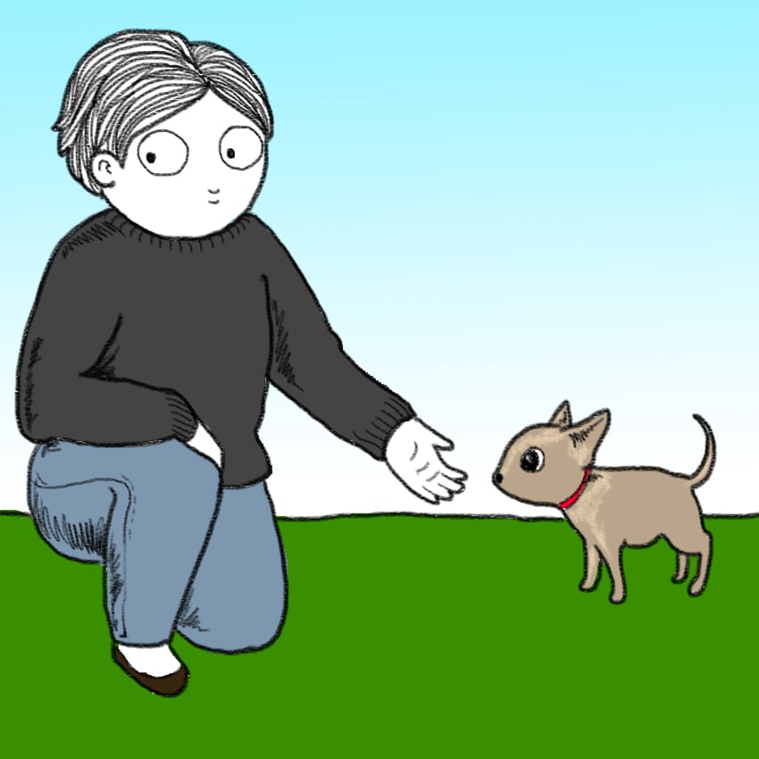 embeddedIMG_PreventingDogBites_850px_5.jpg