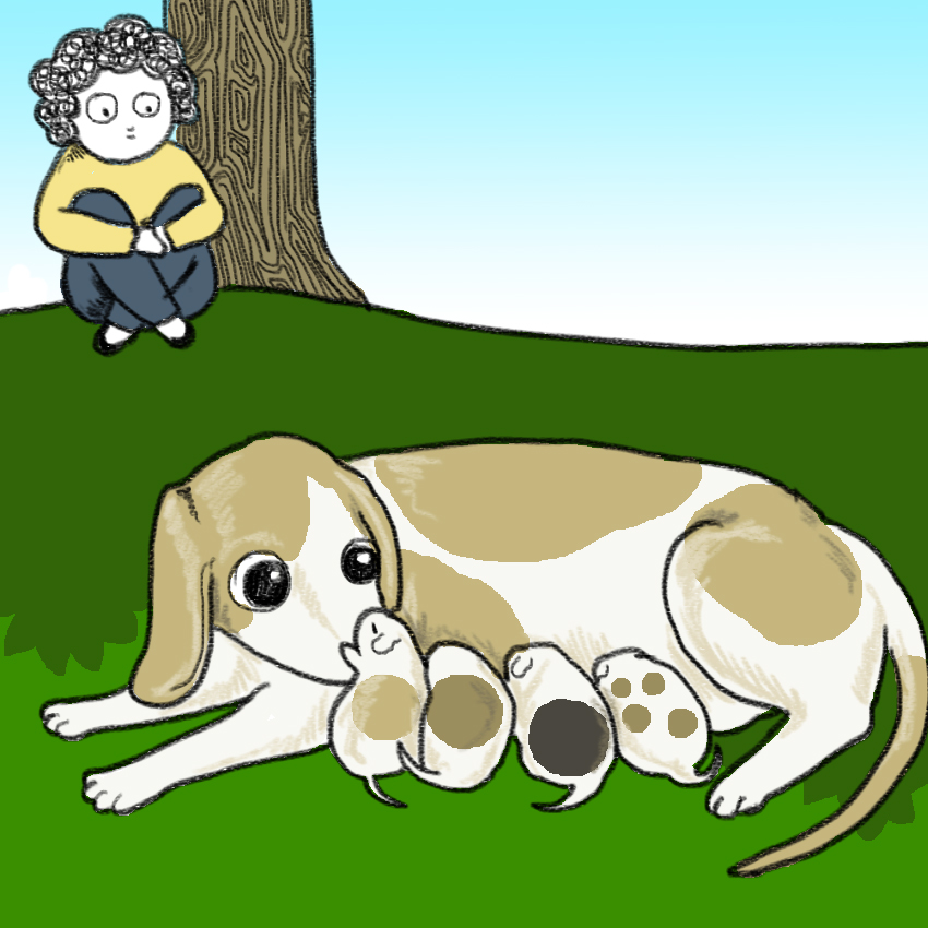 embeddedIMG_PreventingDogBites_850px_7.jpg