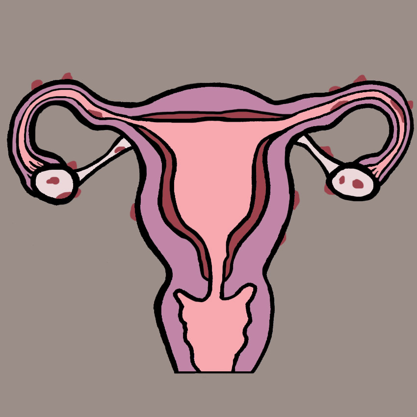 embeddedIMG_ReasonsForALowSexDriveInWomen_850px_7.jpg embeddedIMG_ReasonsForALowSexDriveInWomen_850px_7.jpg