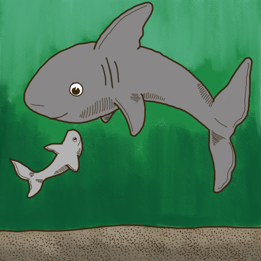 embeddedIMG_SharkAttacks_850px_10.jpg