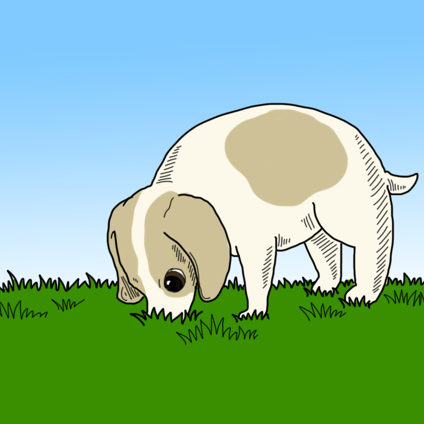 embeddedIMG_SickPetSigns_850px_10.jpg