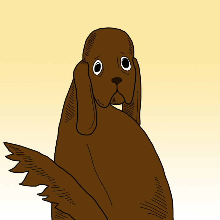 embeddedIMG_SickPetSigns_850px_3.jpg