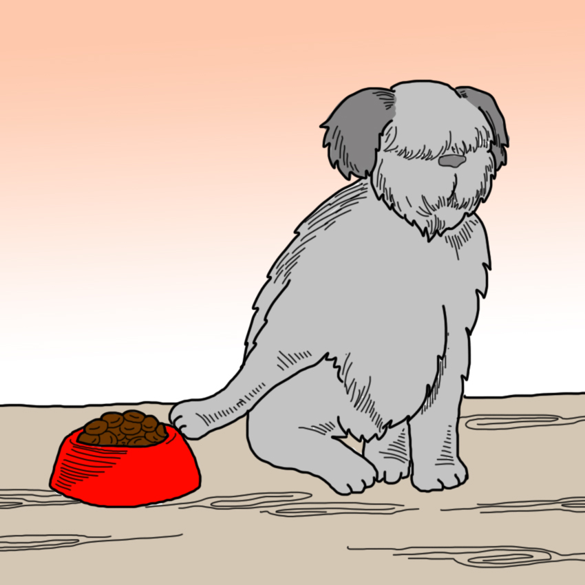 embeddedIMG_SickPetSigns_850px_4.jpg
