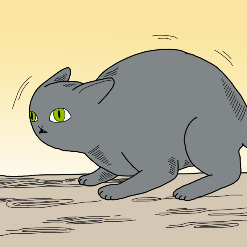 embeddedIMG_SickPetSigns_850px_5.jpg
