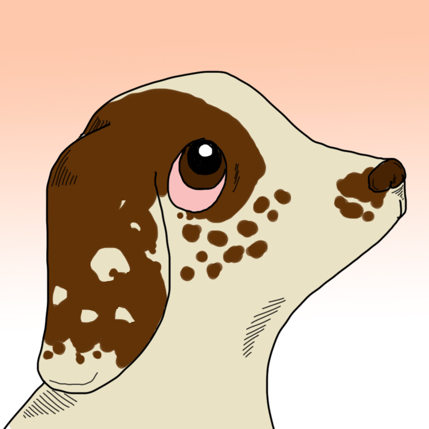 embeddedIMG_SickPetSigns_850px_6.jpg