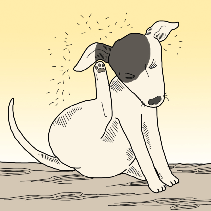 embeddedIMG_SickPetSigns_850px_7.jpg