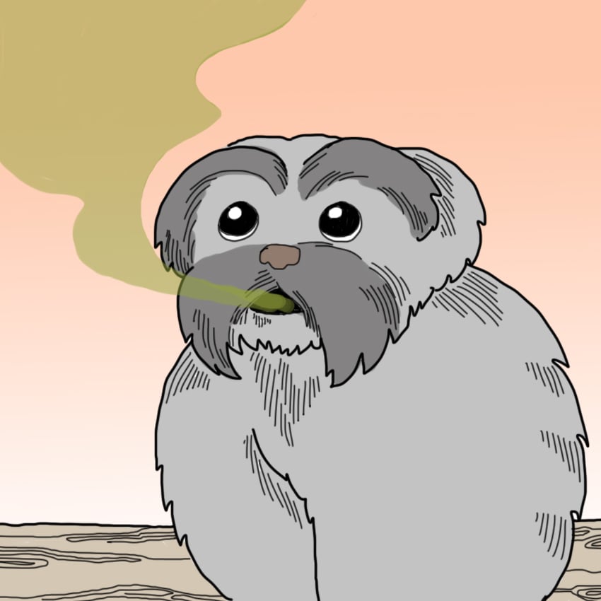 embeddedIMG_SickPetSigns_850px_8.jpg