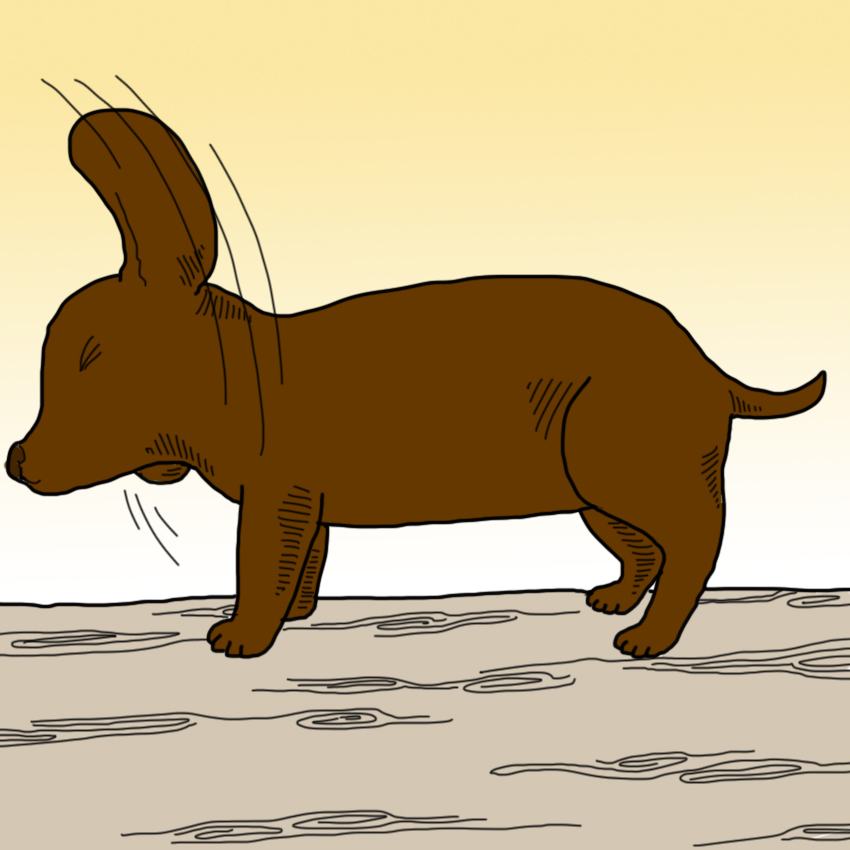 embeddedIMG_SickPetSigns_850px_9.jpg