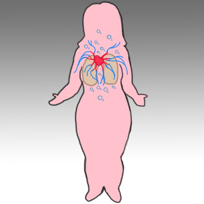 embeddedIMG_Smoking_850px_2.jpg