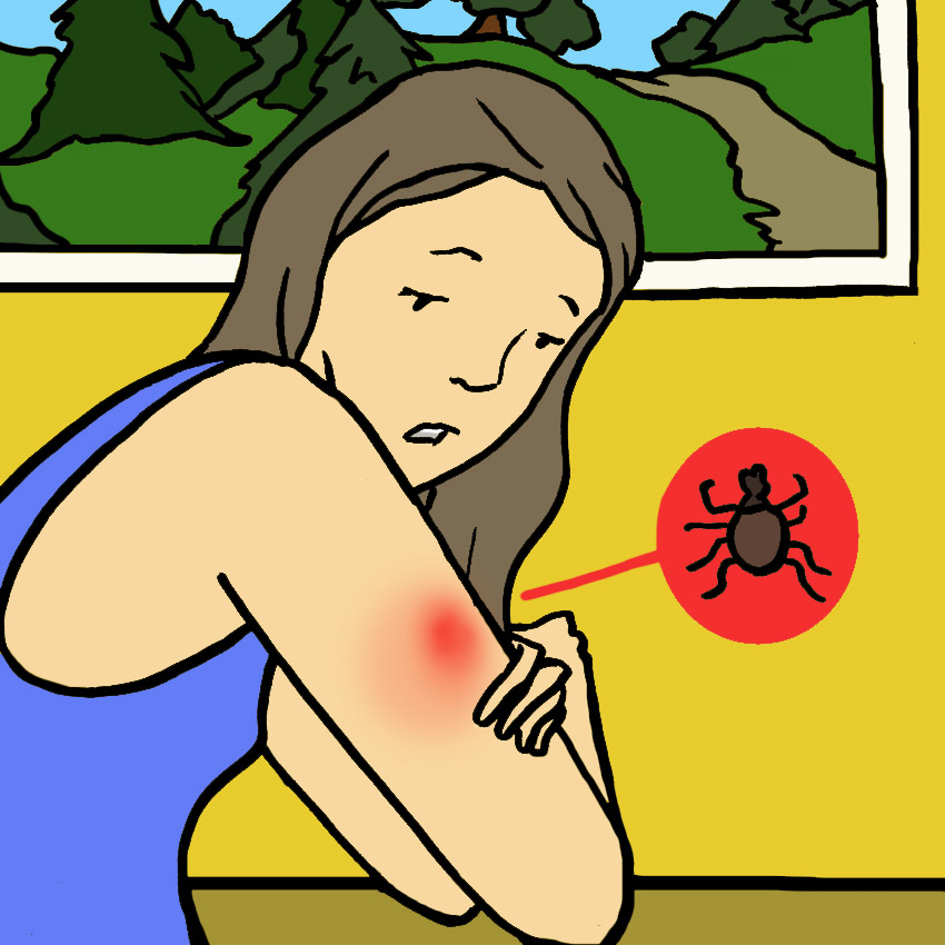 embeddedIMG_SurprisingSymptomsOfLymeDisease_850px_1.jpg