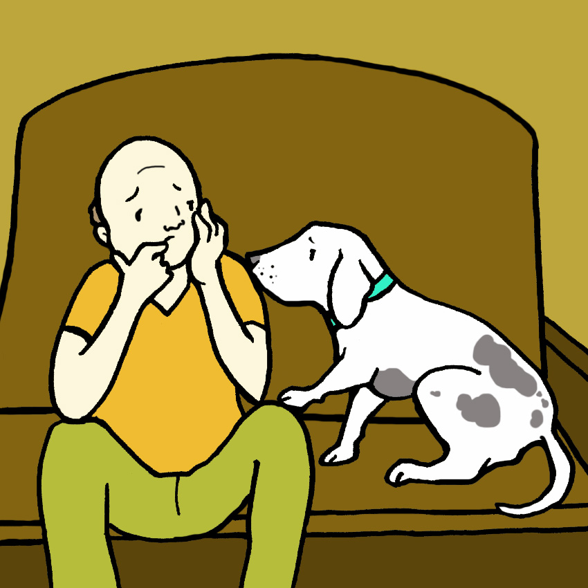 embeddedIMG_SurprisingWaysThatOwningADogIsGoodForYourHealth_850px_3.jpg