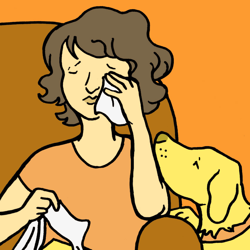 embeddedIMG_SurprisingWaysThatOwningADogIsGoodForYourHealth_850px_7.jpg