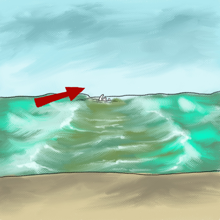 embeddedIMG_SurvivingRiptide_850px_41.jpg