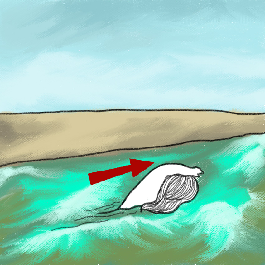 embeddedIMG_SurvivingRiptide_850px_71.jpg