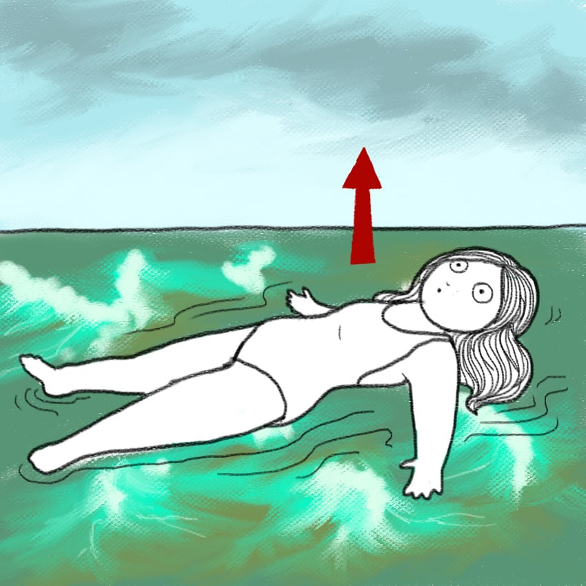 embeddedIMG_SurvivingRiptide_850px_81.jpg