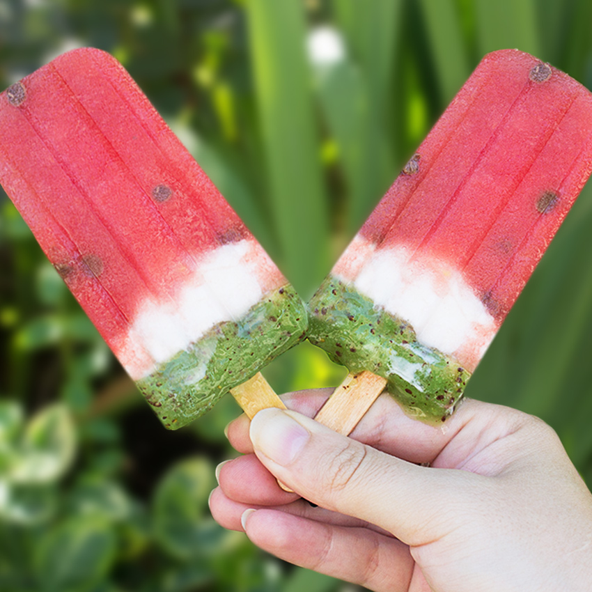 embeddedIMG_WatermelonPops_850px_12.jpg