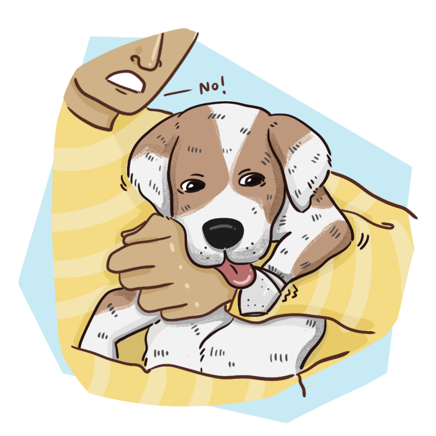 embeddedIMG_WhatShouldIDoIfMyPuppyBreaksANail_850px_14.jpg