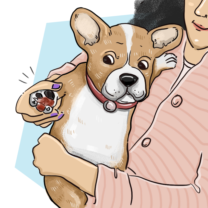 embeddedIMG_WhatShouldIDoIfMyPuppyBreaksANail_850px_3.jpg