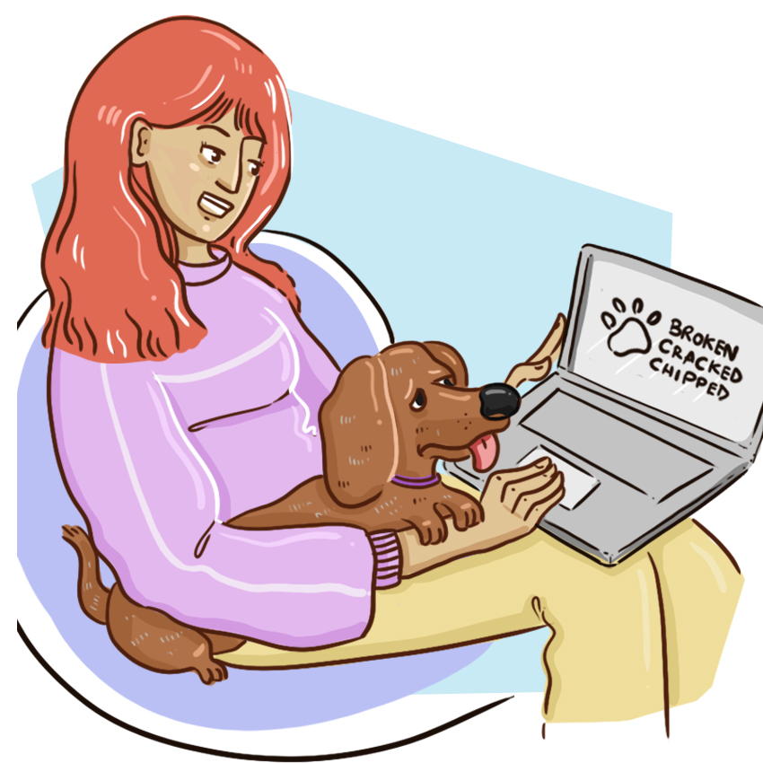 embeddedIMG_WhatShouldIDoIfMyPuppyBreaksANail_850px_4.jpg