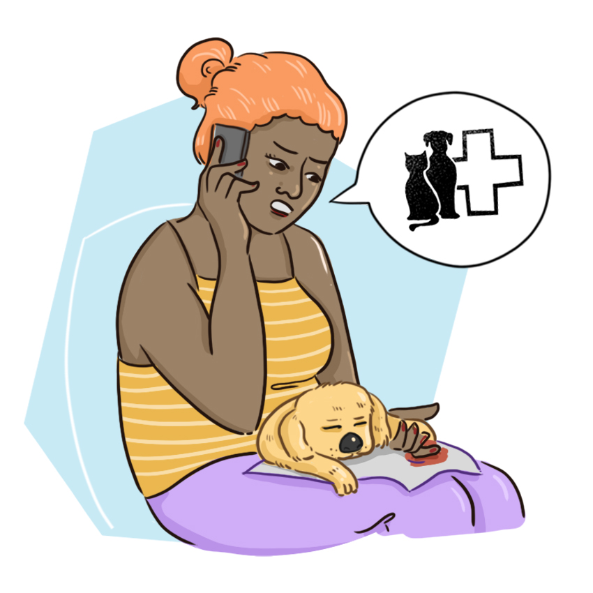 embeddedIMG_WhatShouldIDoIfMyPuppyBreaksANail_850px_8.jpg