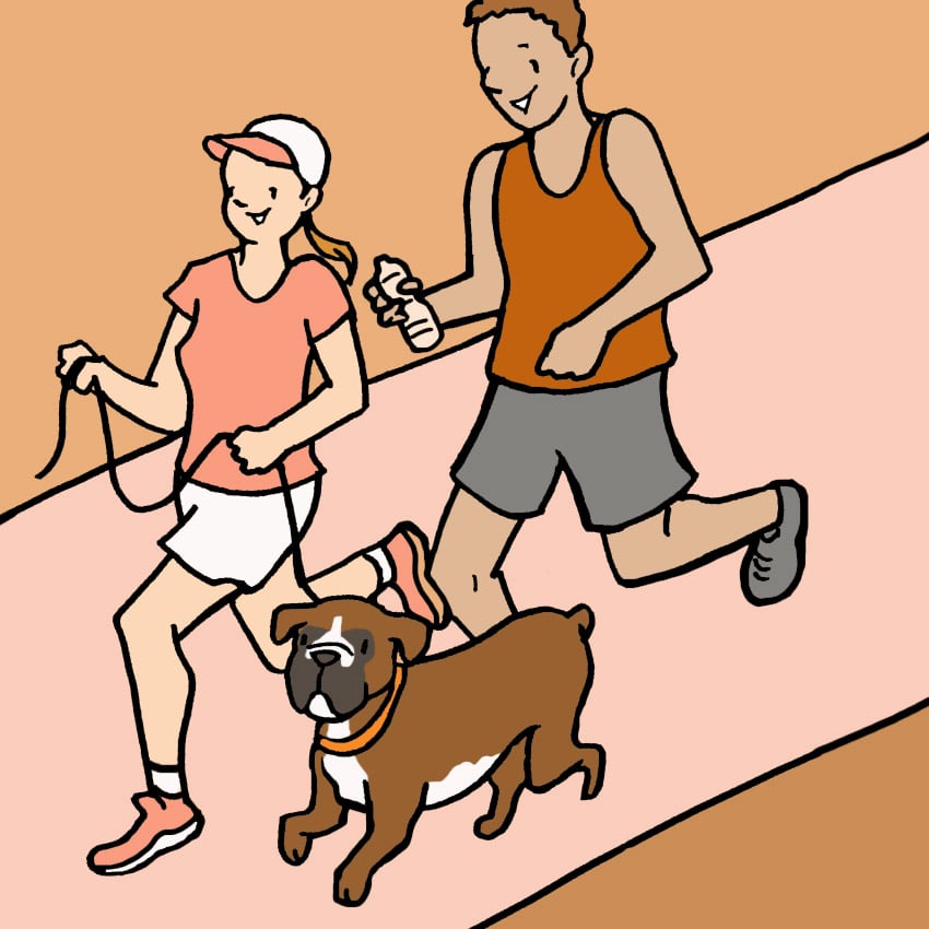 embeddedIMG_WhatYourFavoriteDogBreedSaysAboutYou_850px_4.jpg