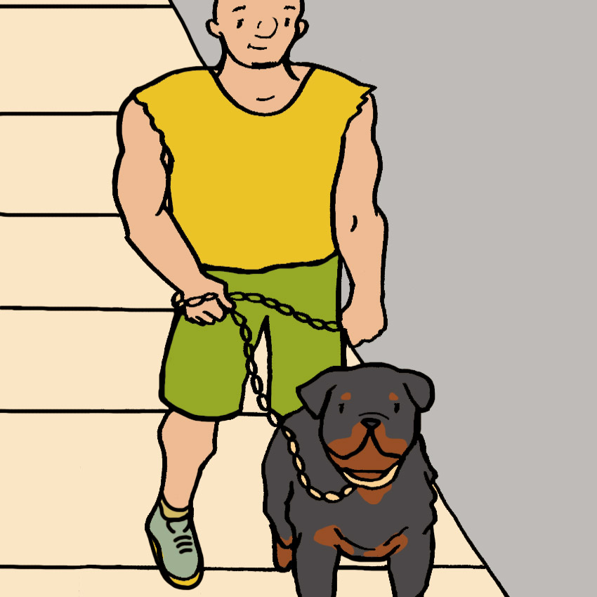 embeddedIMG_WhatYourFavoriteDogBreedSaysAboutYou_850px_7.jpg