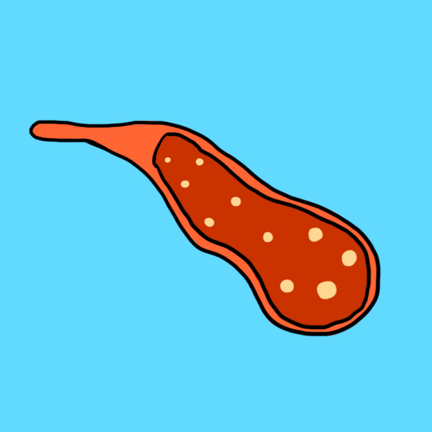 embeddedIMG_benefitsofcheese_850px_2.jpg embeddedIMG_benefitsofcheese_850px_2.jpg