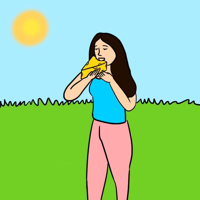 embeddedIMG_benefitsofcheese_850px_3.jpg embeddedIMG_benefitsofcheese_850px_3.jpg