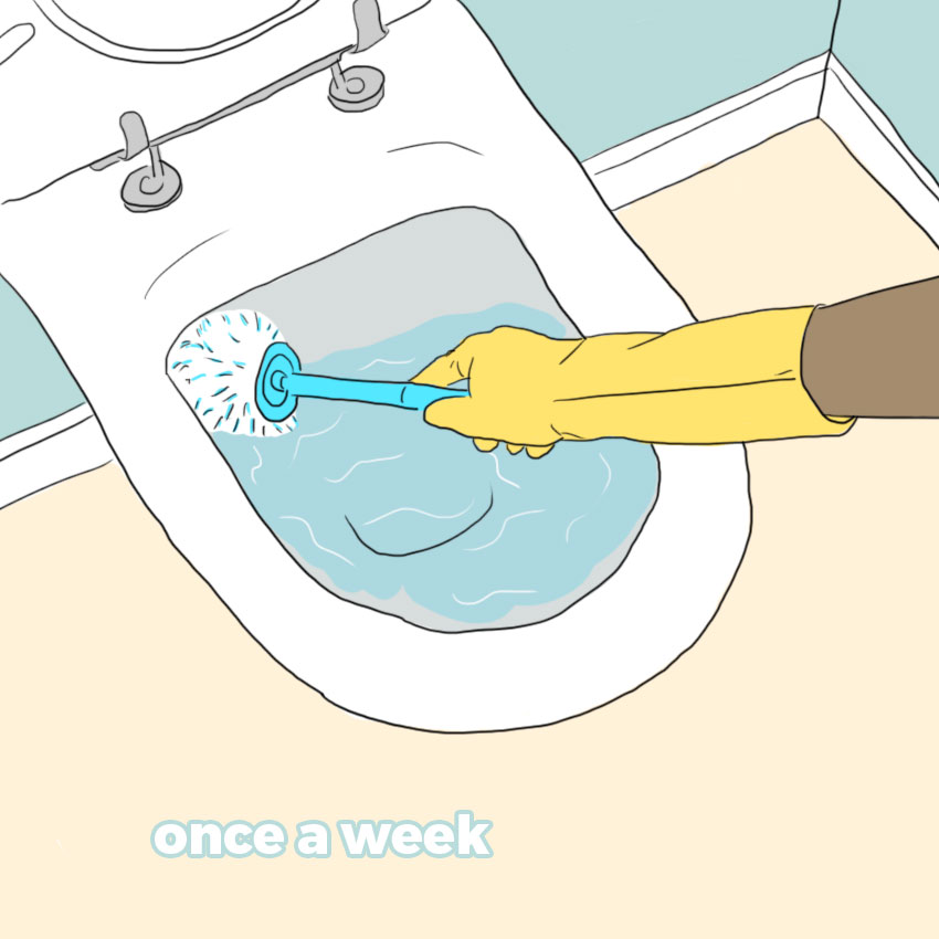 embeddedIMG_cleanhouseholditems_850px_4.jpg