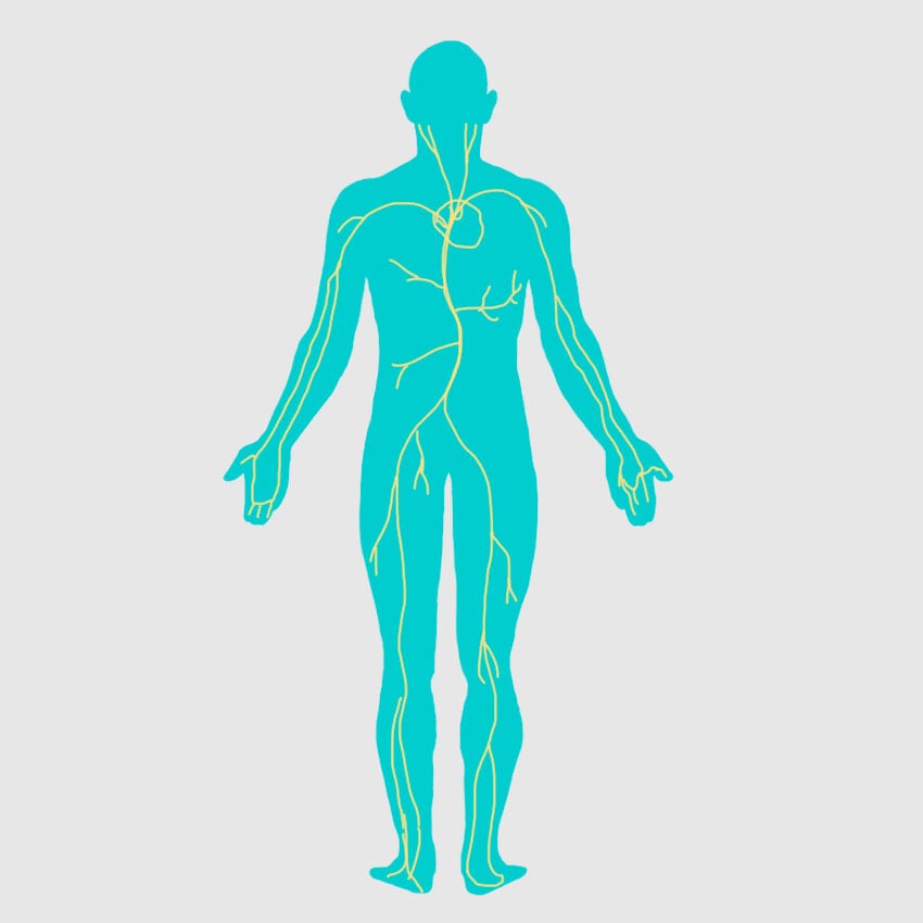 embeddedIMG_crossingyourlegs_850px_2.jpg embeddedIMG_crossingyourlegs_850px_2.jpg