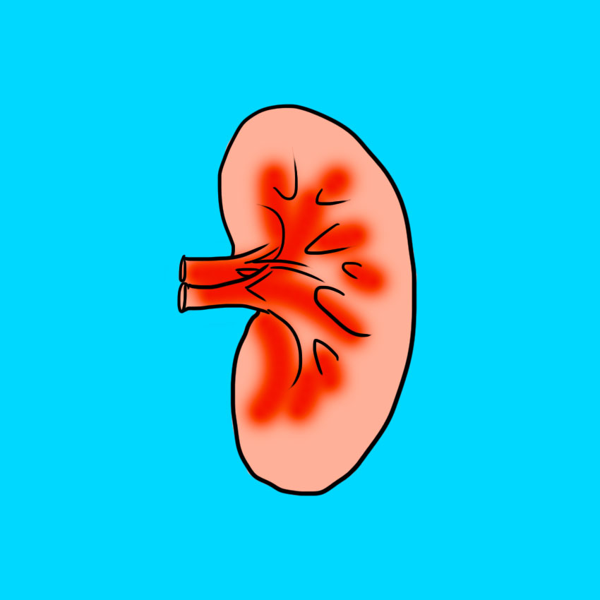 embeddedIMG_dehydration_850px_5.jpg