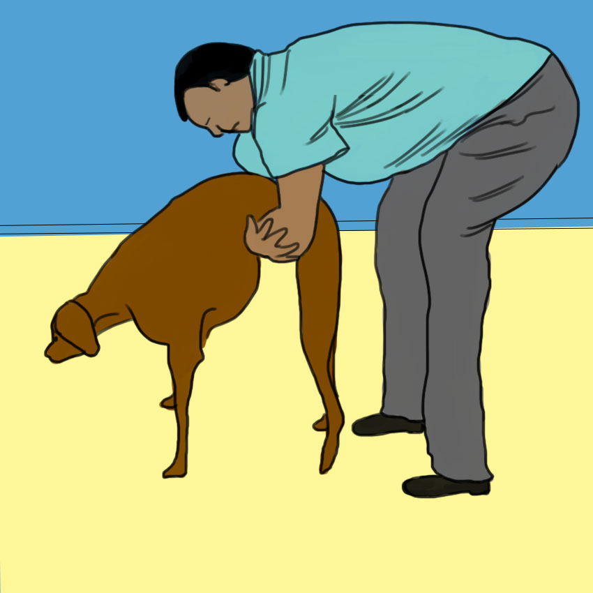 embeddedIMG_dogcpr_850px_5.jpg