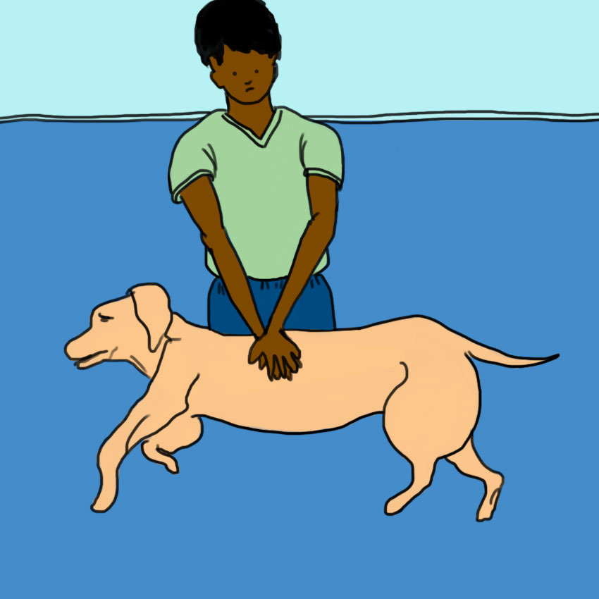 embeddedIMG_dogcpr_850px_6.jpg