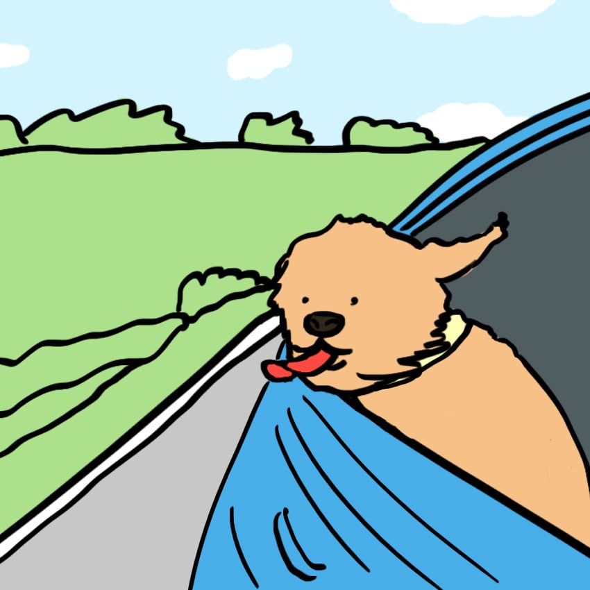embeddedIMG_everythinginlifeilearnedfrommydog_850px_1.jpg embeddedIMG_everythinginlifeilearnedfrommydog_850px_1.jpg