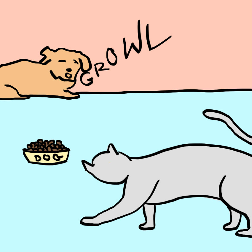 embeddedIMG_everythinginlifeilearnedfrommydog_850px_11.jpg