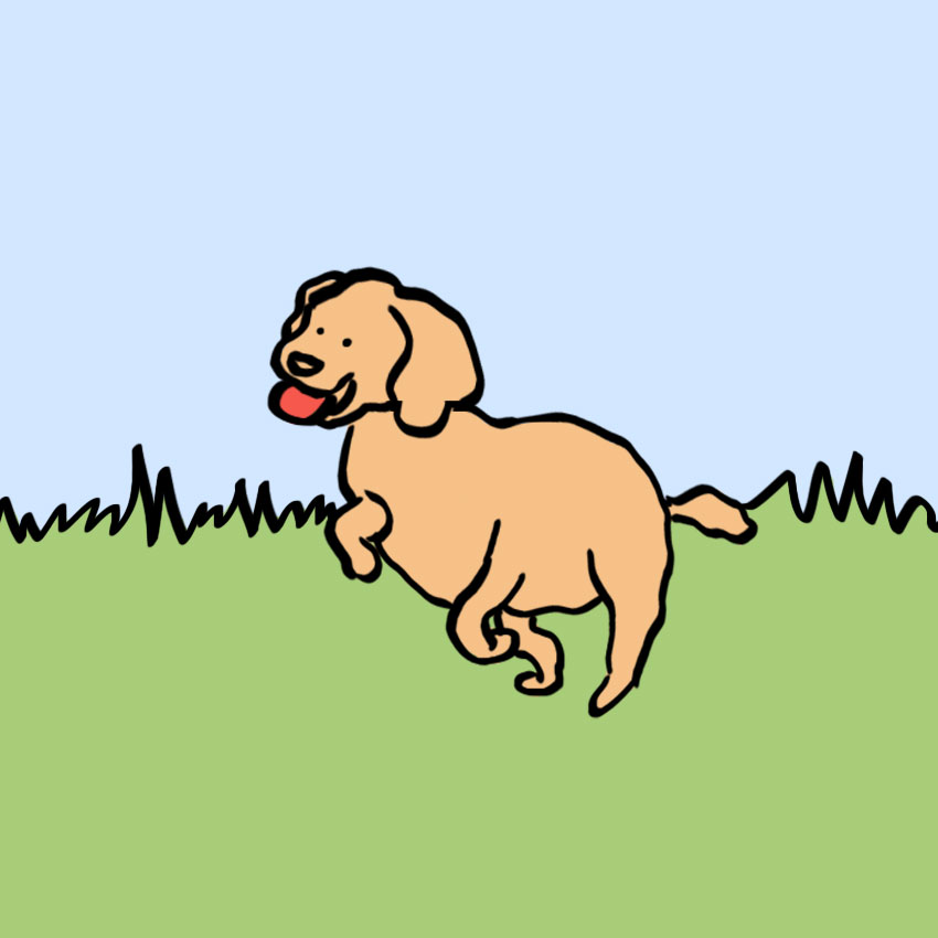 embeddedIMG_everythinginlifeilearnedfrommydog_850px_3.jpg