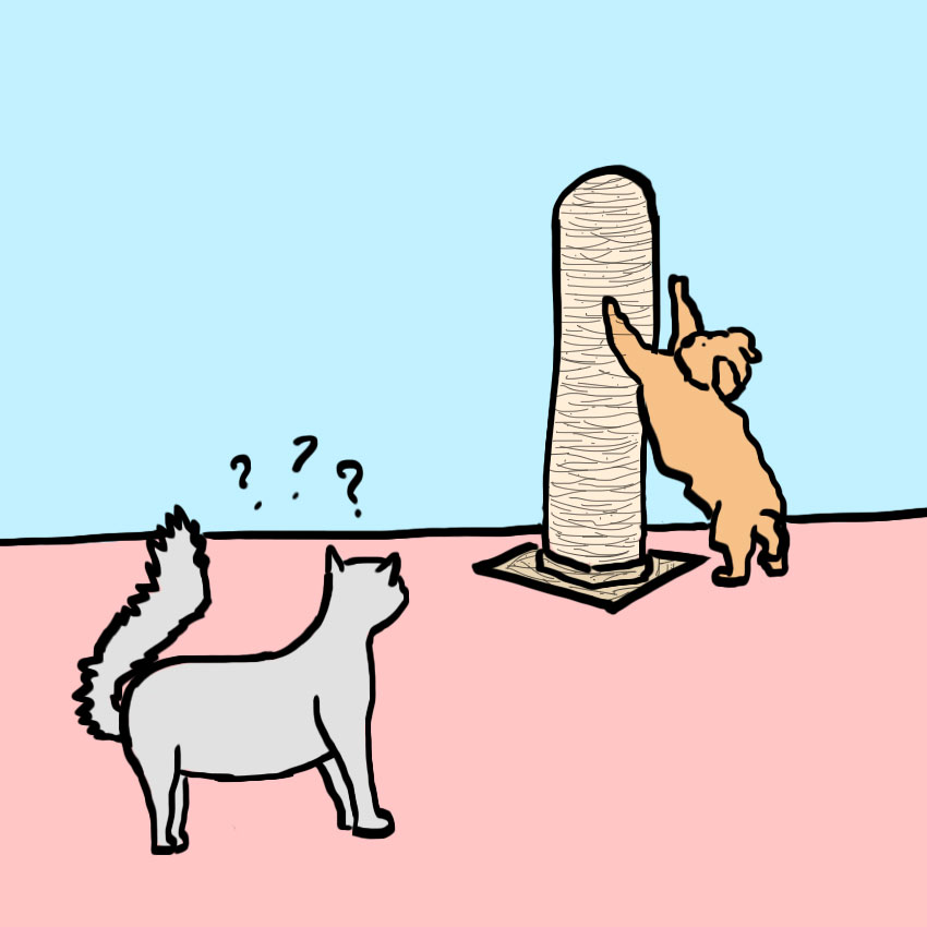 embeddedIMG_everythinginlifeilearnedfrommydog_850px_5.jpg
