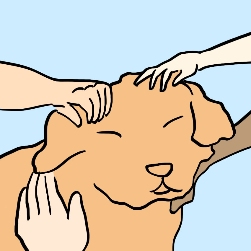 embeddedIMG_everythinginlifeilearnedfrommydog_850px_9.jpg
