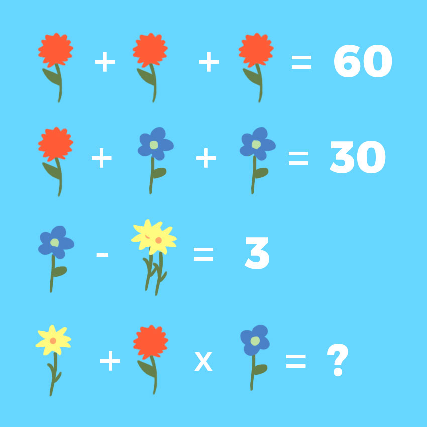 embeddedIMG_flowermathproblem_850px_11.jpg