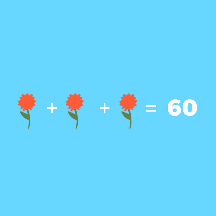 embeddedIMG_flowermathproblem_850px_21.jpg